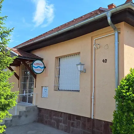 Koppany Vendeghaz Apartment
